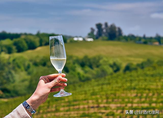茅臺(tái)葡萄酒代理價(jià)格表，茅臺(tái)葡萄酒代理加盟條件？