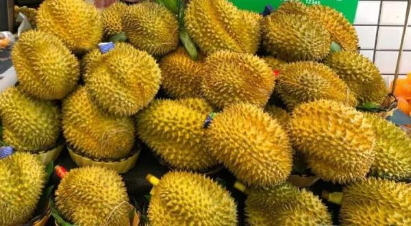 泰國榴蓮批發(fā)市場進(jìn)貨渠道官網(wǎng)，泰國榴蓮批發(fā)市場進(jìn)貨渠道在哪？