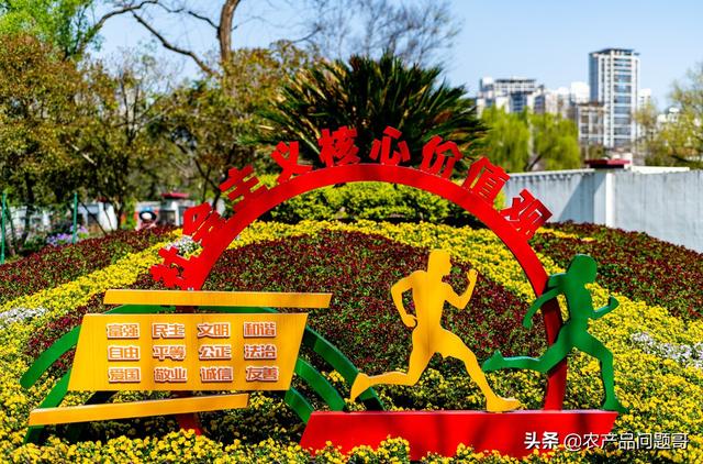 農(nóng)副產(chǎn)品一手貨源批發(fā)網(wǎng)，哪里有一手農(nóng)產(chǎn)品貨源？