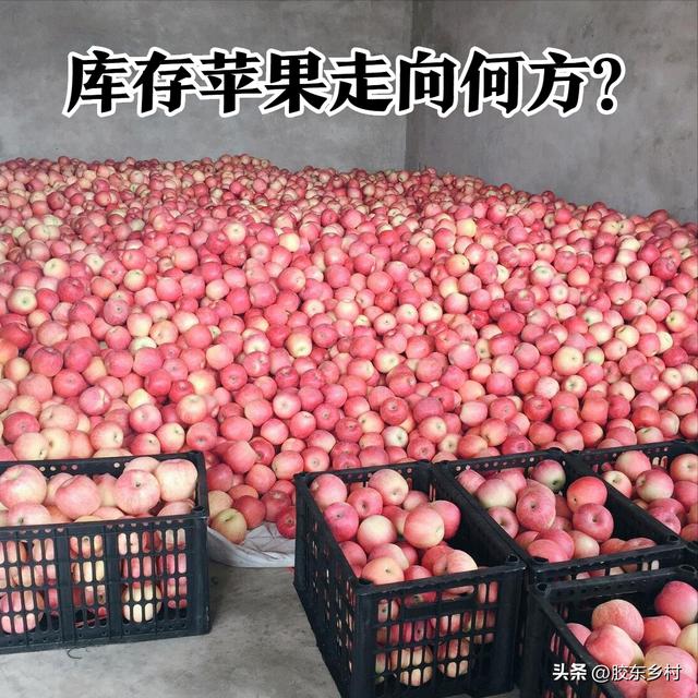 蘋果批發(fā)哪里最便宜的地方，蘋果批發(fā)哪里最便宜的地方在哪里？