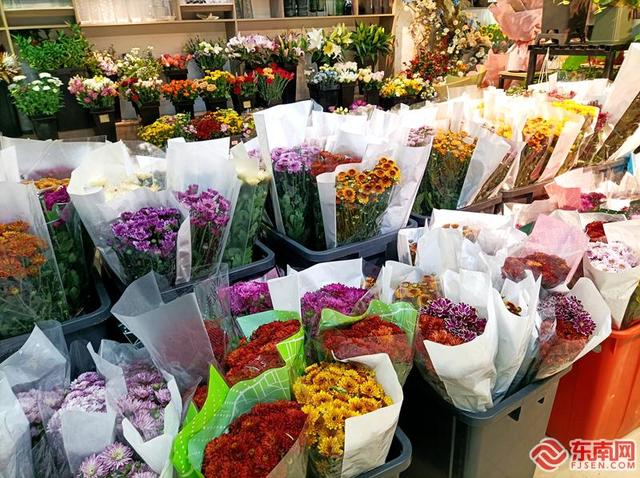 批發(fā)鮮花去哪里進貨固鎮(zhèn)，批發(fā)鮮花去哪里進貨花奔生產(chǎn)基地在哪里？