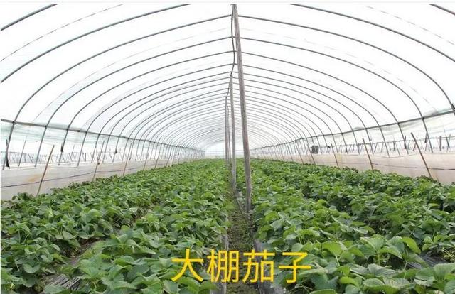 齊齊哈爾批發(fā)衣服在哪里進(jìn)貨便宜，齊齊哈爾批發(fā)衣服的地方？