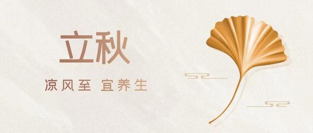 美思康宸阿膠是什么牌子阿膠，美思康宸阿膠總代理價格？