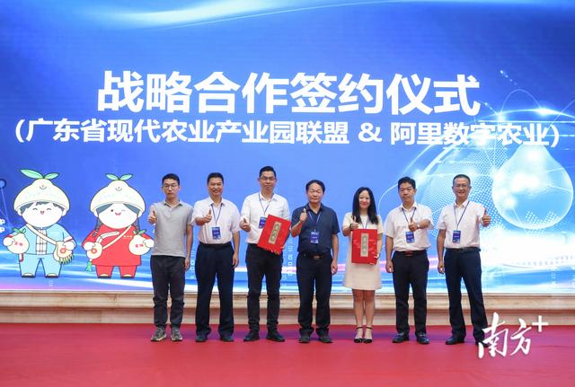 柚子聯(lián)盟代理怎么做賺錢，柚子聯(lián)盟代理怎么做賺錢的？