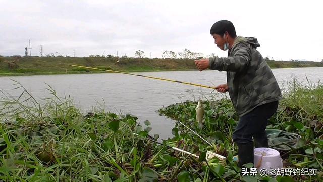 草花批發(fā)市場進(jìn)貨渠道，北京批發(fā)水草市場？