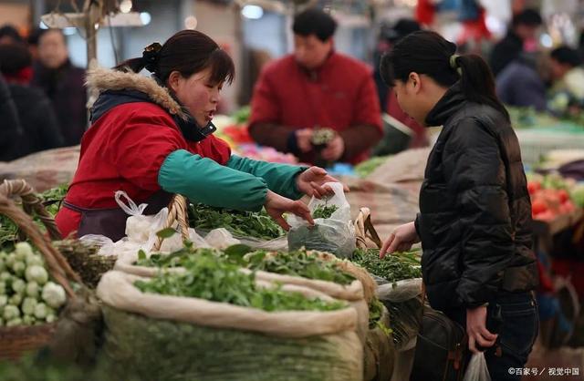 菜市場賣菜一天能賺多少錢，賣什么青菜掙錢？