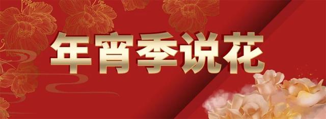昆明蔬菜種子批發(fā)市場(chǎng)在哪里，無錫種子批發(fā)市場(chǎng)在哪里？