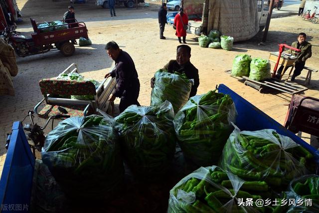市場賣青菜一天賺多少錢合適，菜市場賣青菜一年能賺多少錢？