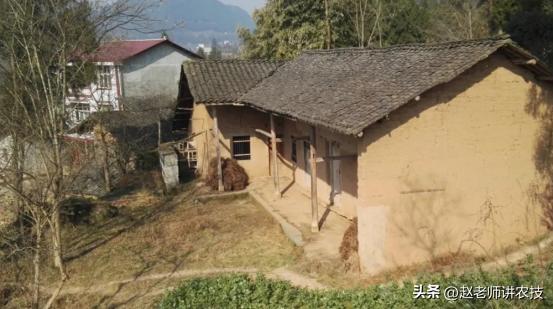 散白酒加盟代理，散酒加盟公司？