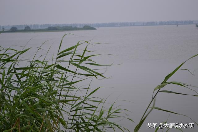 蝦籠網(wǎng)批發(fā)圖片及價格電話訂購，蝦籠批發(fā)市場價格？