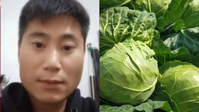 想做蔬菜批發(fā)怎么找貨源，找批發(fā)蔬菜貨源怎么找？