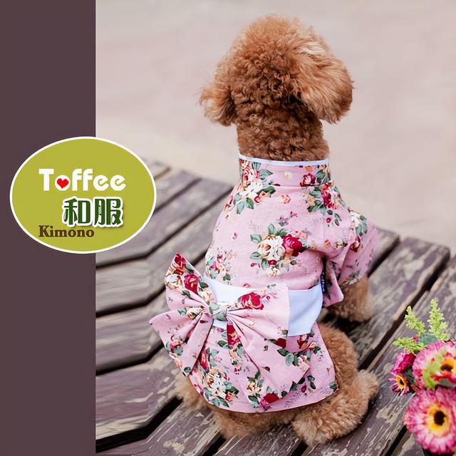 淘寶寵物用品店貨源怎么找，淘寶寵物用品店貨源怎么找的？