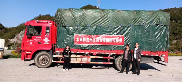 成都電商做什么類目比較多，電商的貨源？