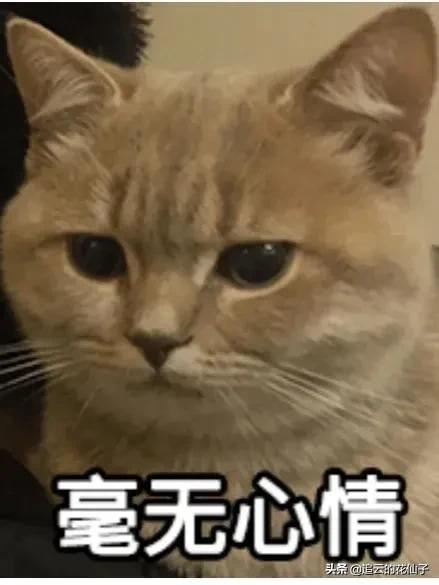 鄭州無貨源淘寶培訓(xùn)中心，鄭州無貨源淘寶培訓(xùn)中心地址？