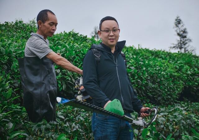 淘寶賣茶葉貨源哪里找，淘寶賣茶葉貨源哪里找的？