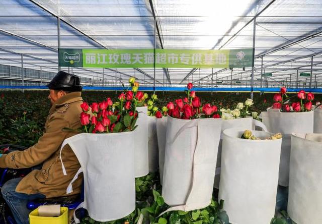 天貓超市的貨源供應(yīng)商是什么，天貓超市的貨源供應(yīng)商是什么意思？