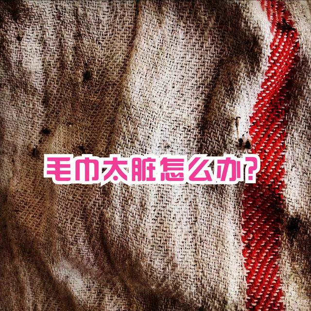江蘇淘寶貨源毛巾店鋪在哪里，淘寶網(wǎng)毛巾？
