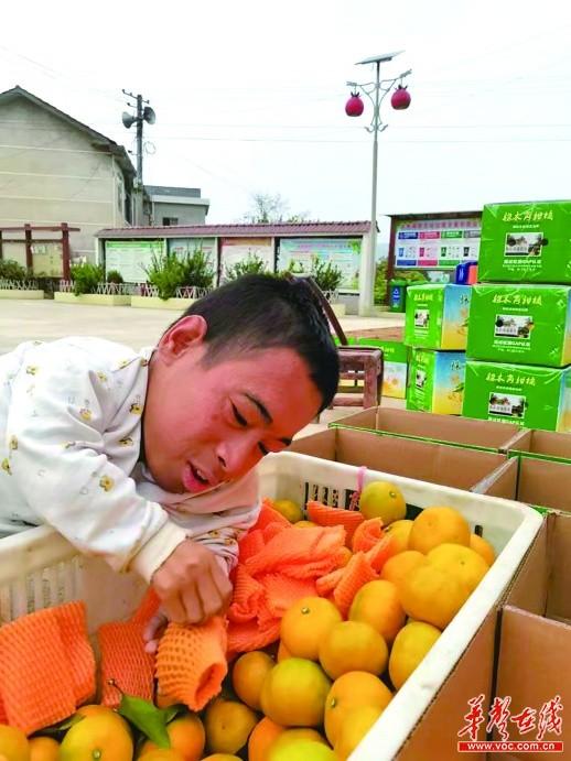 農產品土特產_代理廠家，特產代理網？