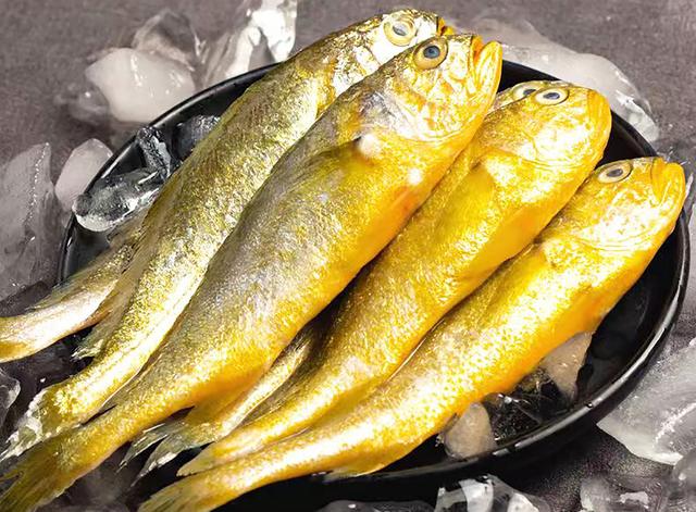 冰凍小黃魚批發(fā)價(jià)，？