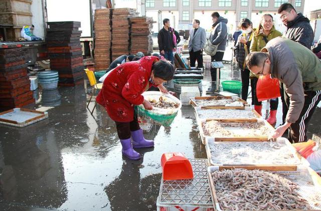 海鮮食品貨源批發(fā)網(wǎng)站有哪些，海鮮產(chǎn)品批發(fā)網(wǎng)站？