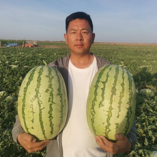 微信賣(mài)水果貨源一手貨源，微信賣(mài)水果貨源一手貨源可靠嗎？