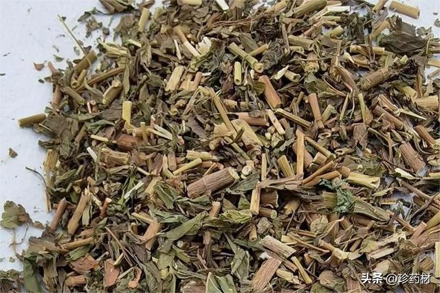 番瀉葉供應(yīng)，番瀉葉介紹？