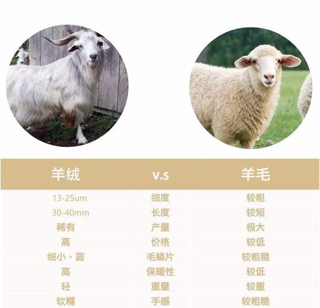 羊絨大廠家貨源微商推薦，羊絨大廠家貨源微商推薦圖片？