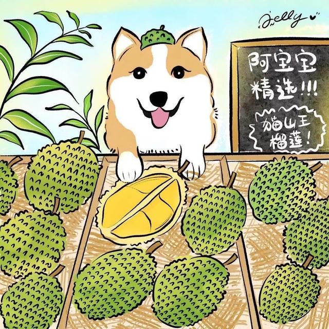 榴蓮交易所代理，榴蓮千層代理？