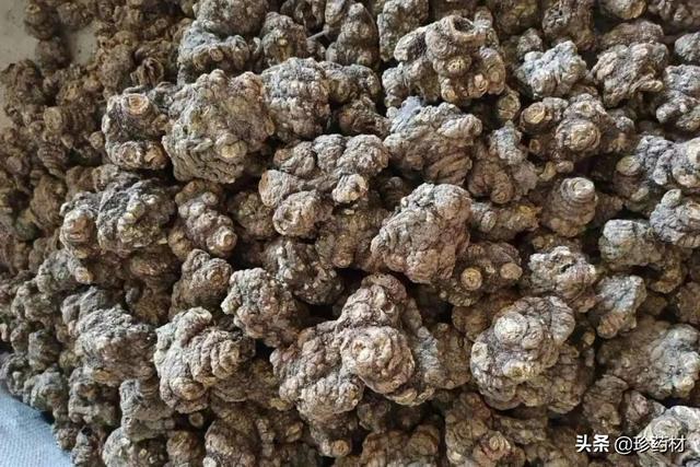 番瀉葉生產(chǎn)地，番瀉葉用途？