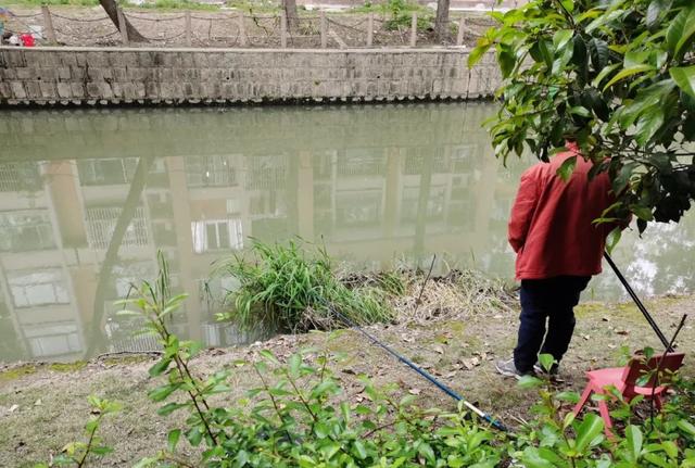 淘寶拼多多熱銷魚籠餌料貨源拿貨是真的嗎，淘寶拼多多熱銷魚籠餌料貨源拿貨是真的嗎可信嗎？