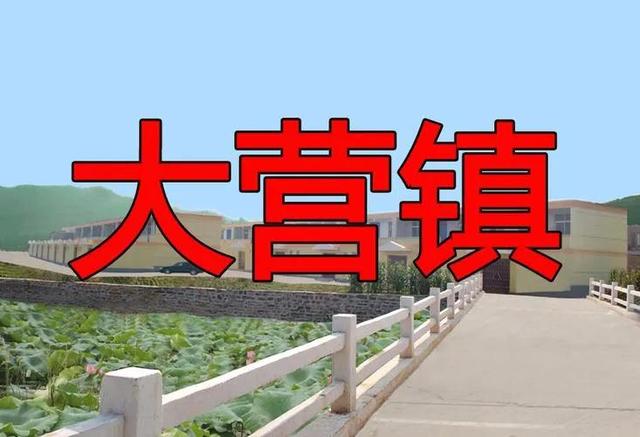 拼多多賣殯葬用品，拼多多拼棺材？