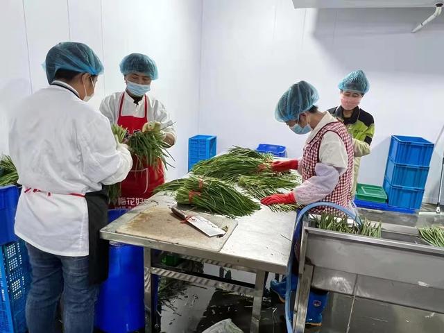 批發(fā)青菜生意從什么網(wǎng)上找貨源呢，做蔬菜批發(fā)怎么找貨源？