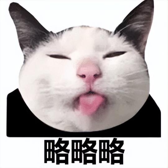 淘寶拼多多熱銷全樂貓糧貨源拿貨是真的嗎，淘寶拼多多熱銷全樂貓糧貨源拿貨是真的嗎安全嗎？