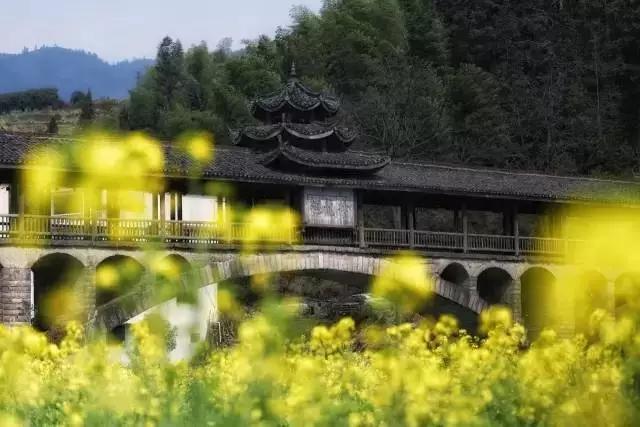 無貨源電商運營模式，無貨源電商運營模式有哪些？
