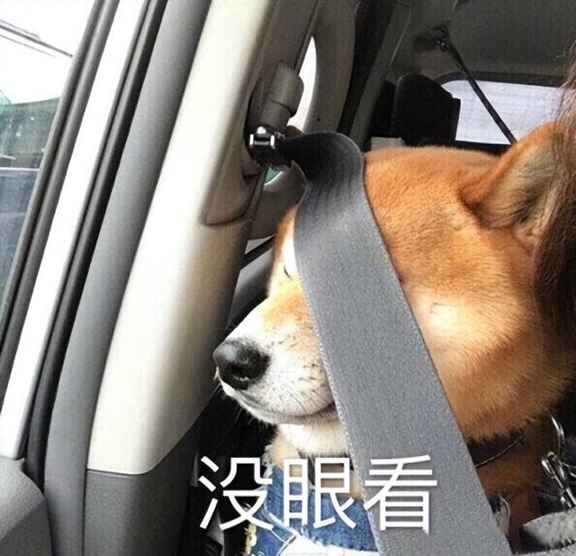 淘寶dw手表是真的嗎，微商dw手表二百多？