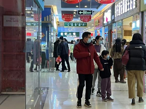 淘寶寵物商店網店貨源怎么找不到，淘寶寵物商店網店貨源怎么找的？