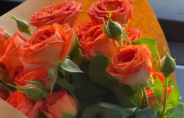 鮮花貨源在線批發(fā)采購平臺，鮮花貨源在線批發(fā)采購平臺有哪些？