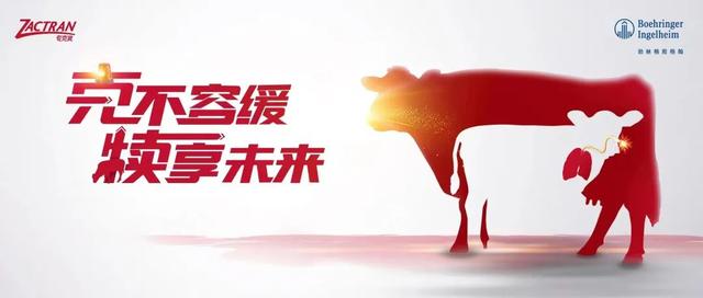淘寶拼多多熱銷犢牛服貨源拿貨是真的嗎，淘寶拼多多熱銷犢牛服貨源拿貨是真的嗎安全嗎？