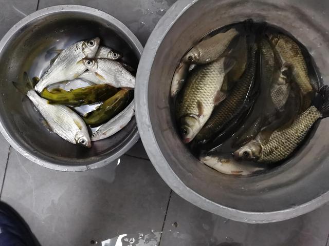 拼多多買魚鉤，拼多多買魚鉤怎么這么便宜？