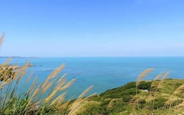 嵊泗海鮮干貨市場，嵊泗海鮮有哪些？