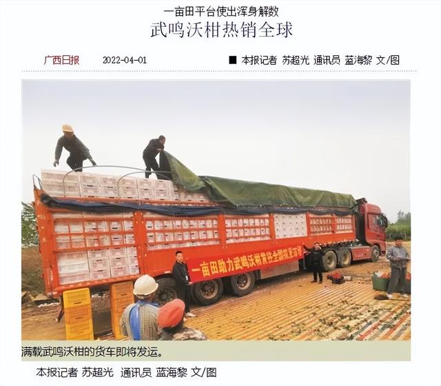 水果代理微信一手貨源，水果貨源免費代理？