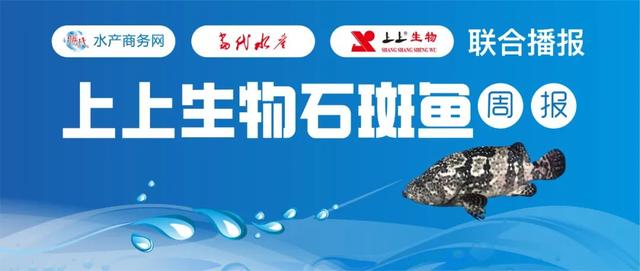 龍石斑魚價格表，龍石斑魚價格表圖片？