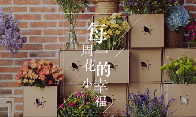 怎么找花卉基地批發(fā)，想開花卉貨源哪里進(jìn)？