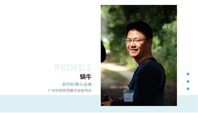 淘寶拼多多熱銷觀鳥器貨源拿貨是真的嗎，淘寶拼多多熱銷觀鳥器貨源拿貨是真的嗎安全嗎？
