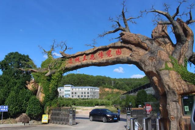 淘寶拼多多熱銷中國黨旗貨源拿貨是真的嗎，？