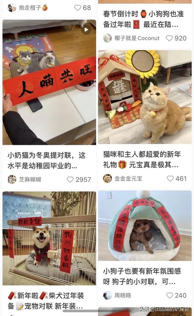 拼多多生鮮貨源，拼多多生鮮貨源怎么找？