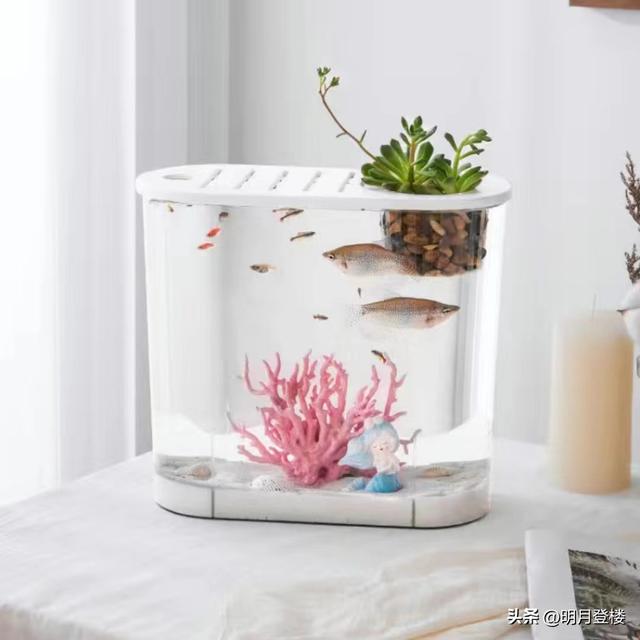 淘寶拼多多熱銷魚缸帶柜貨源拿貨是真的嗎，淘寶拼多多熱銷魚缸帶柜貨源拿貨是真的嗎安全嗎？