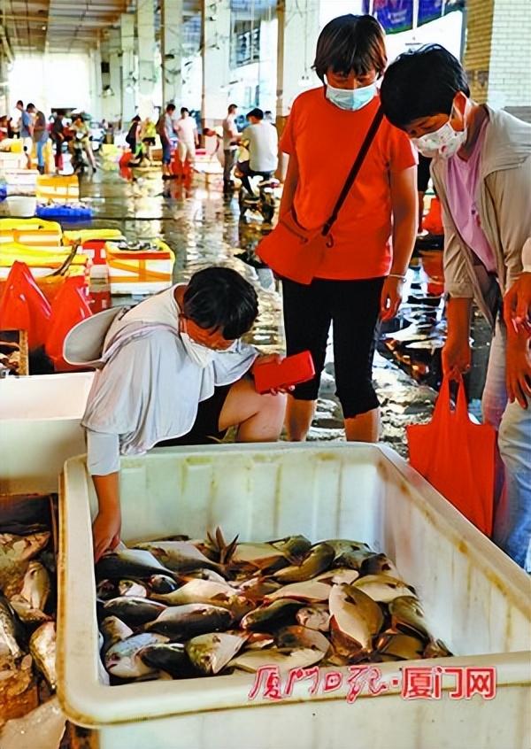 目魚批發(fā)價(jià)格，目魚批發(fā)價(jià)格表？