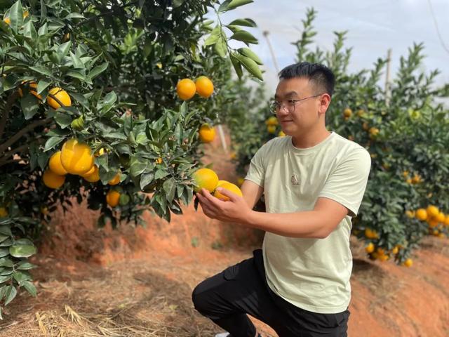 淘寶拼多多熱銷(xiāo)水洗橙子貨源拿貨是真的嗎，拼多多上的橙子怎么樣？