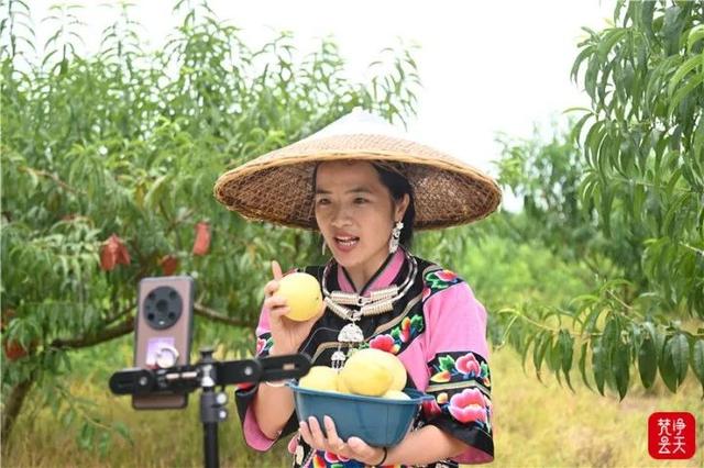 淘寶拼多多熱銷成人桃子貨源拿貨是真的嗎，淘寶拼多多熱銷成人桃子貨源拿貨是真的嗎安全嗎？